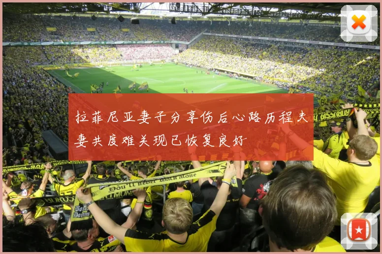 拉菲尼亚妻子分享伤后心路历程夫妻共度难关现已恢复良好